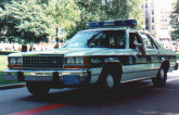 policec.jpg (36086 bytes)