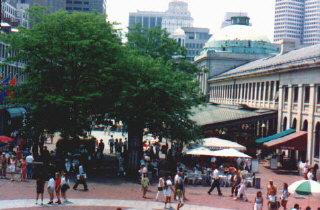 quinc.jpg (38516 bytes)