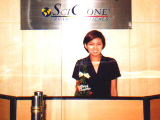 yworkbei.jpg (31987 bytes)