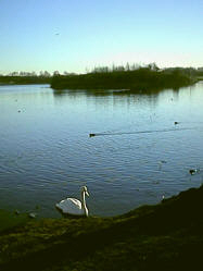 img_0230.jpg (137081 bytes)