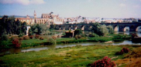 bridge1.jpg (32411 bytes)