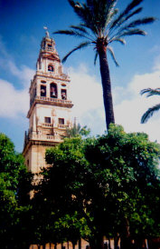 mesq1.jpg (46990 bytes)