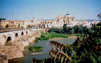 mesq3.jpg (36108 bytes)