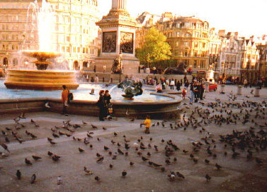 trafsqr.jpg (51814 bytes)