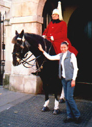 yvthorse.jpg (31553 bytes)