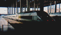 ave.jpg (23238 bytes)