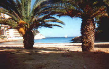 palma1.jpg (43812 bytes)