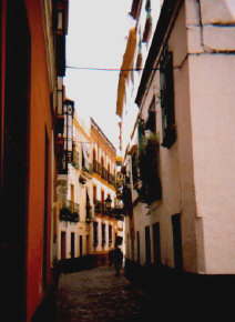 sev3.jpg (29784 bytes)