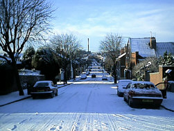 img_0238.jpg (127630 bytes)