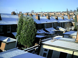 img_0244.jpg (117014 bytes)